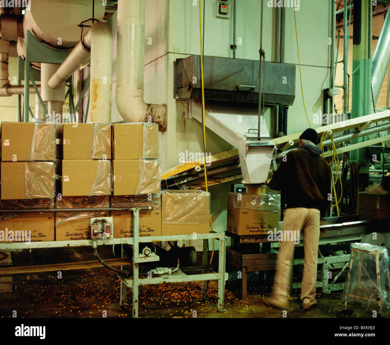 QUICK FREEZE UNIT AT VEGETABLE PROCESSING PLANT. OPERATES AT 40