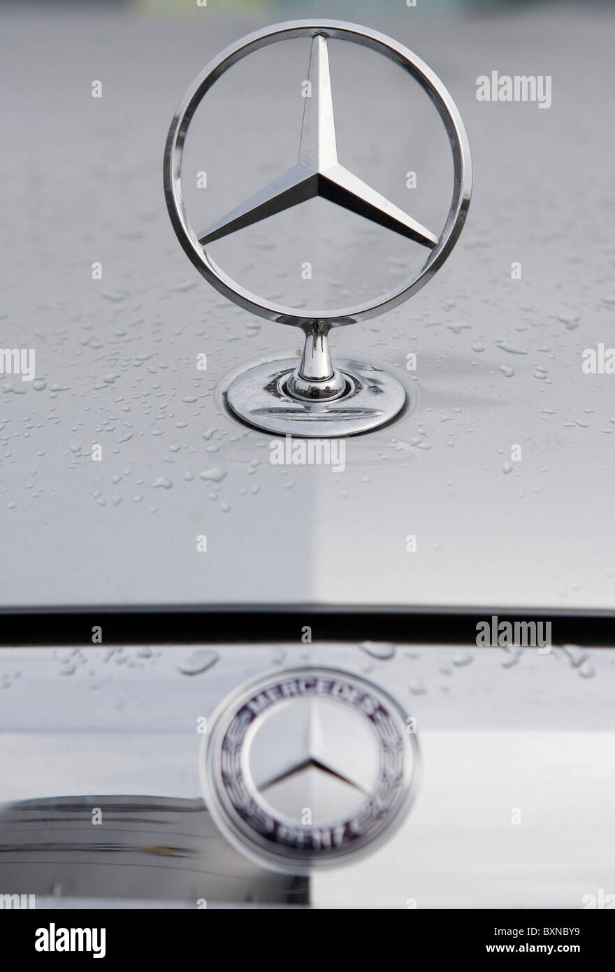 A Mercedes- Benz car dealership.  Stock Photo