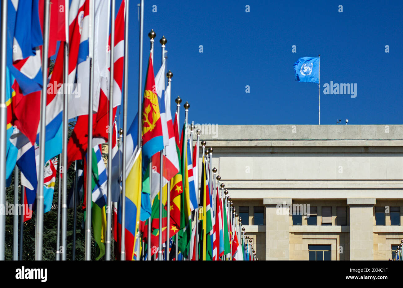 The blue United Nations flag and flags from all countries in the Court of Flags, United Nations,UN, Geneva, Switzerland Stock Photo