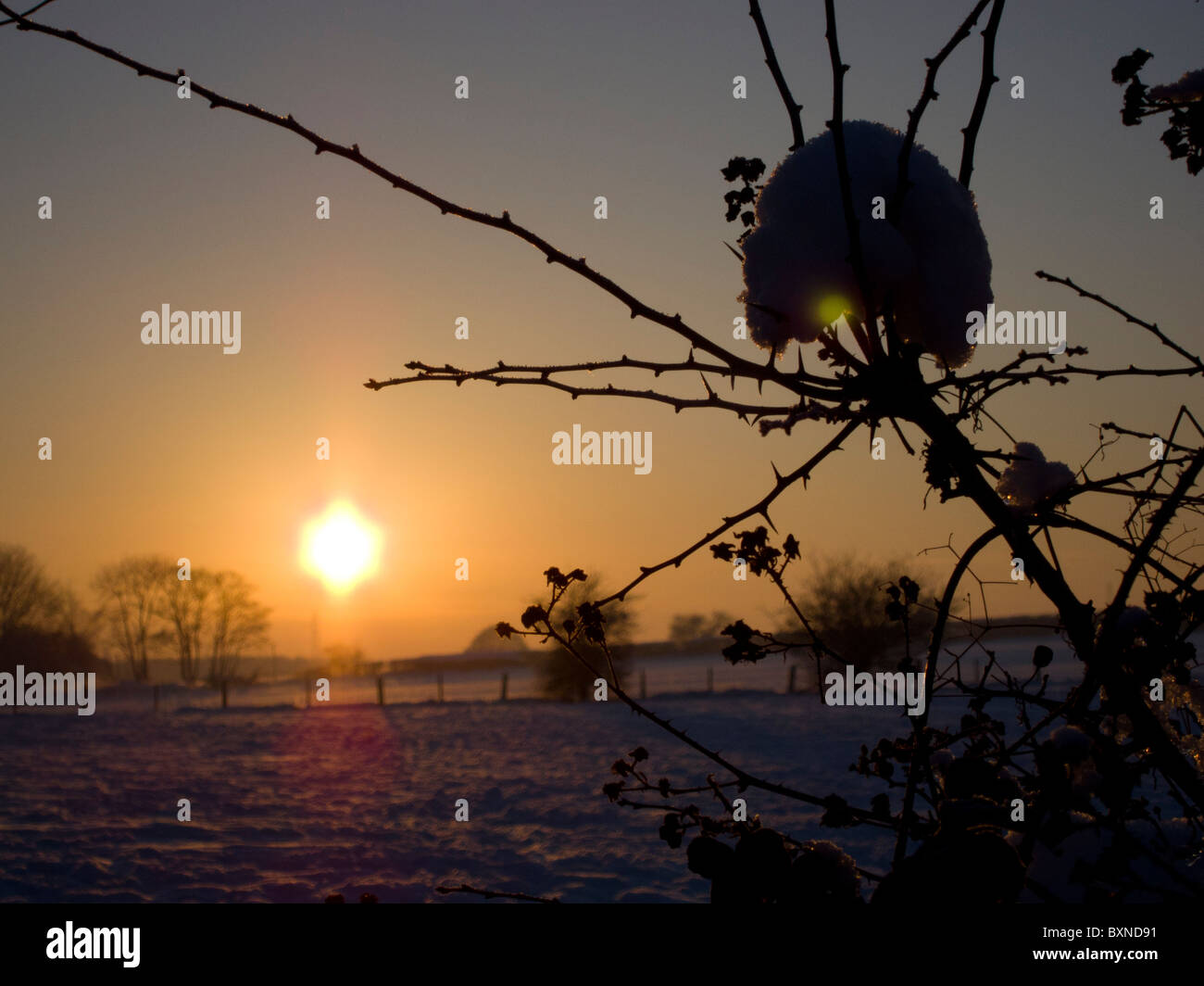 Christmas day 2010 in Worcestershire, England. Sunsetting in the frozen snowy countryside silhouetting the hedgerow. Stock Photo
