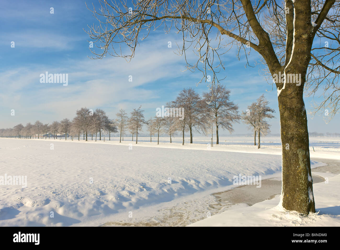 Snowy landscape with road and trees Stock Photo - Alamy