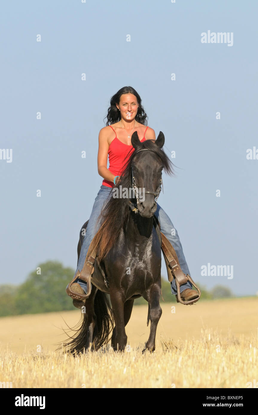 Young rider on back of Paso Fino horse galloping in a stubble field Stock Photo