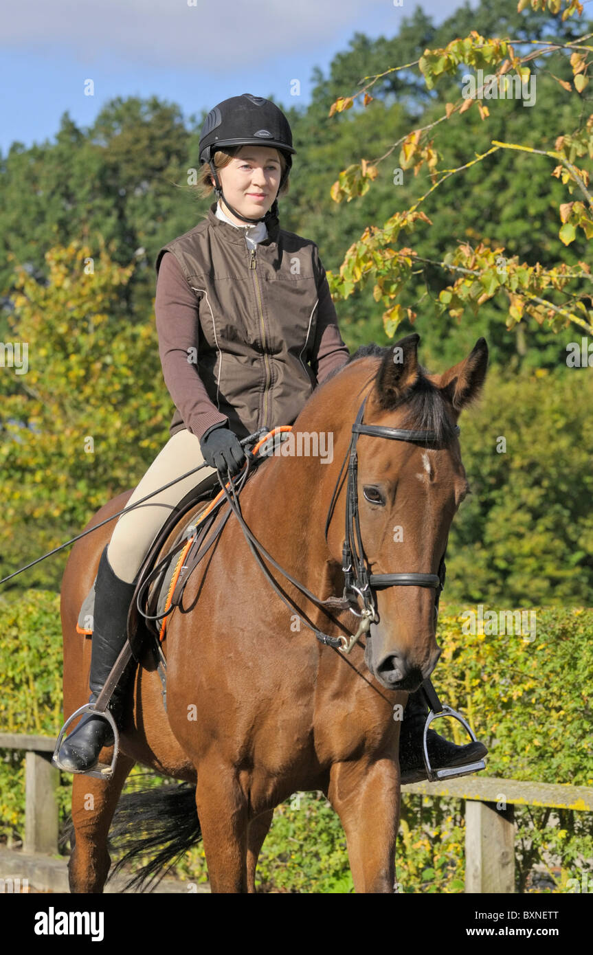 American Standardbred horse dressage riding Stock Photo