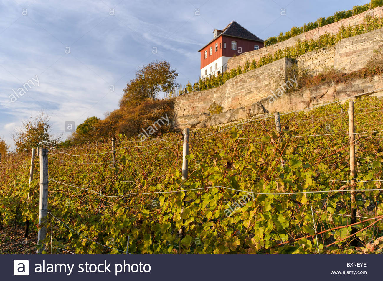 Vineyard Memorial Stock Photos Vineyard Memorial Stock Images