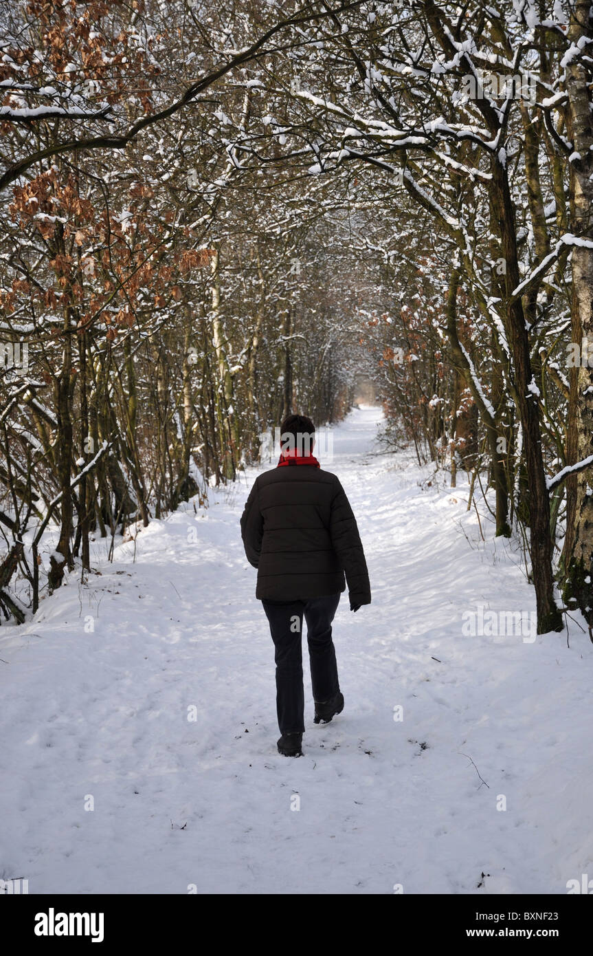 Woman walking snow lane winter hi-res stock photography and images - Alamy
