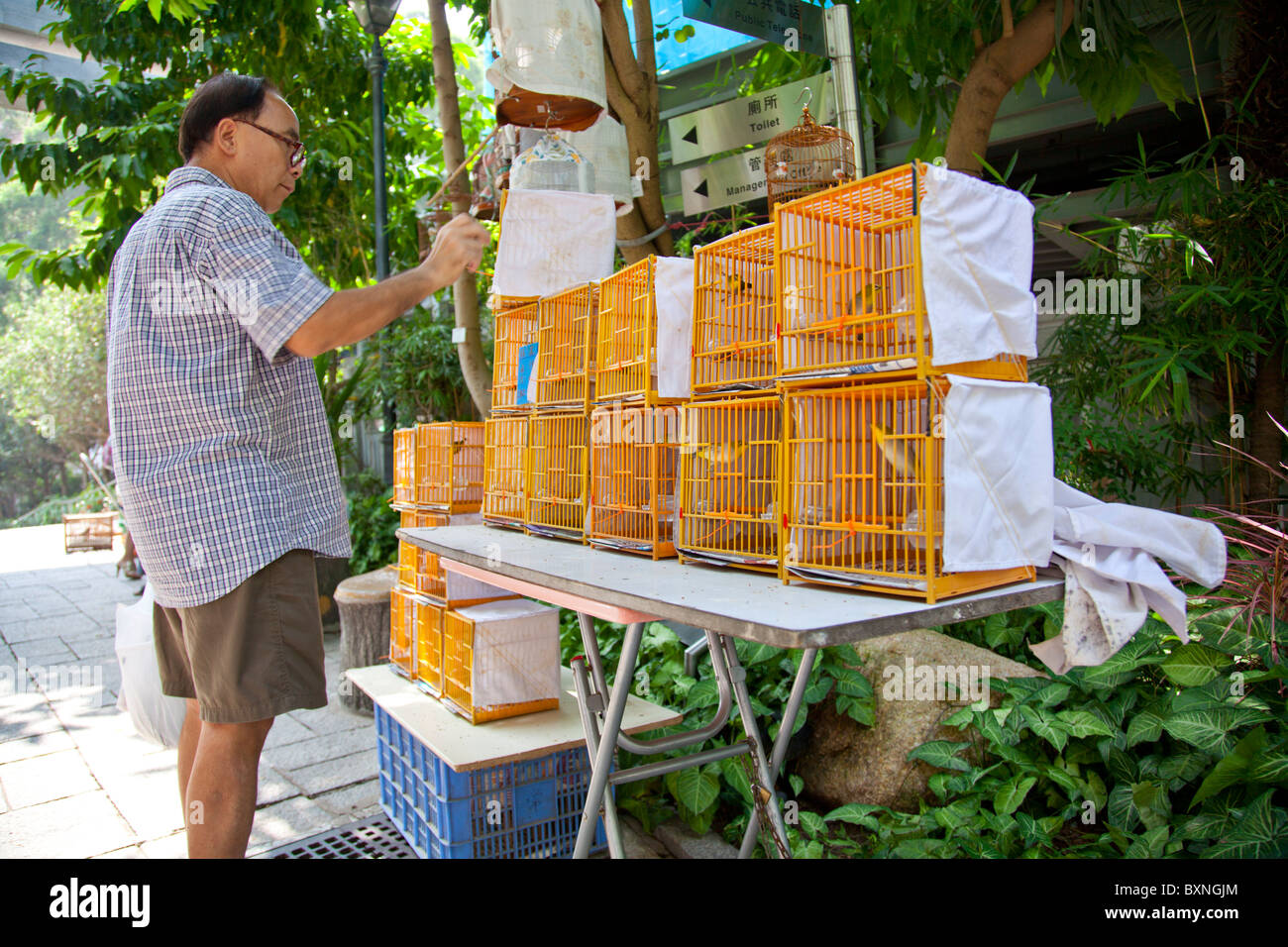 Kowloon, Hong Kong bird garden on Yuen Po Street, see the birds caged ready for sale or show Stock Photo