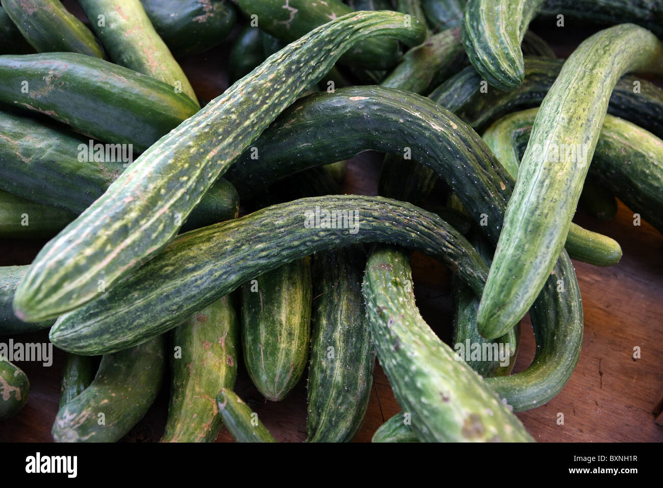 Organic Long English Cucumbers