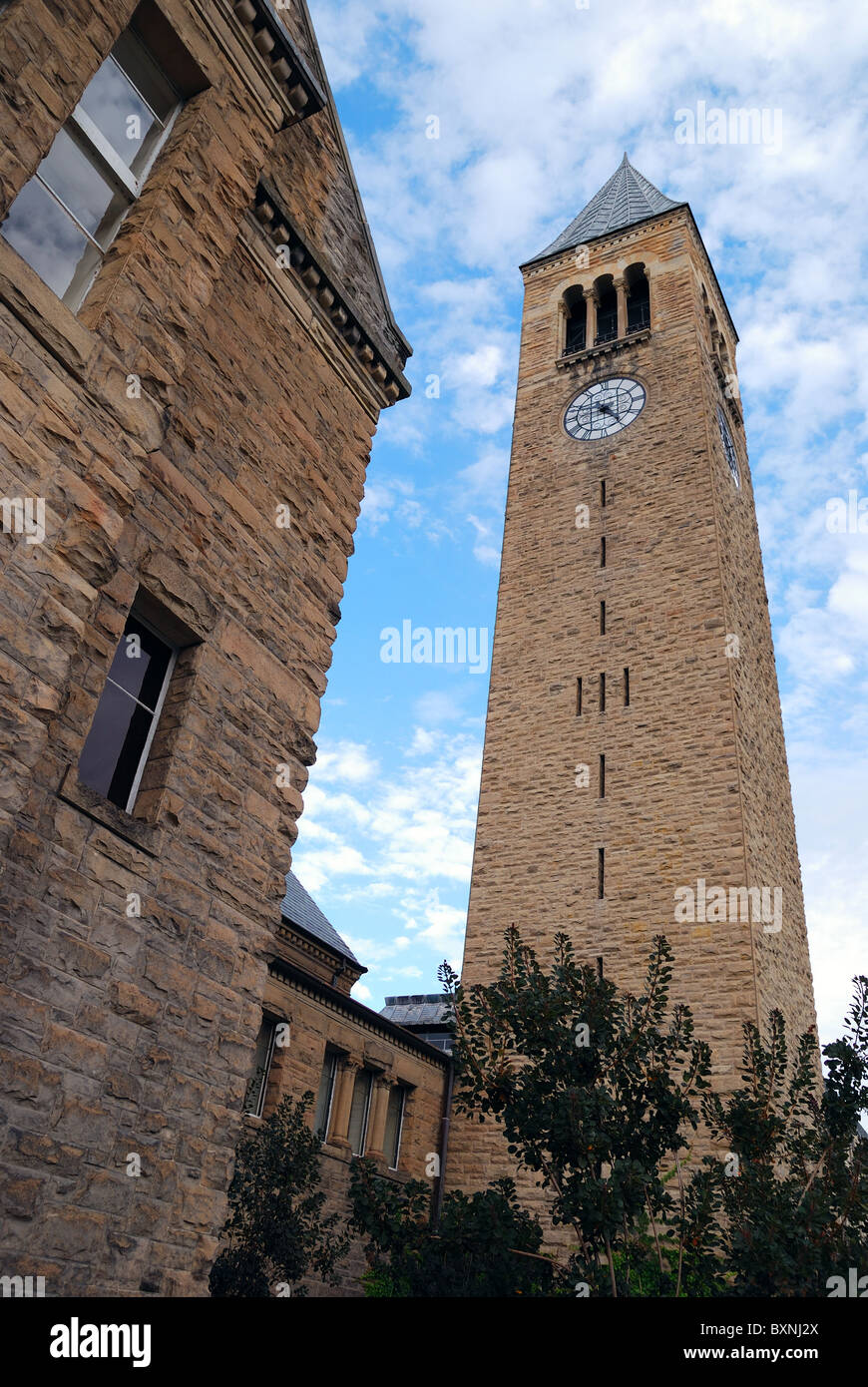 Cornell Chimes Bell Tower in cornell university campus Stock Photo Alamy