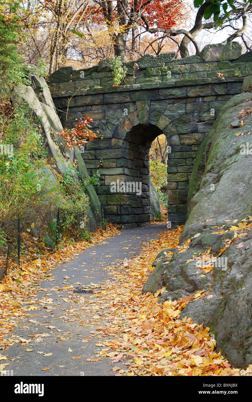 Stone bridge in Autumn in New York City Central park. Stock Photo