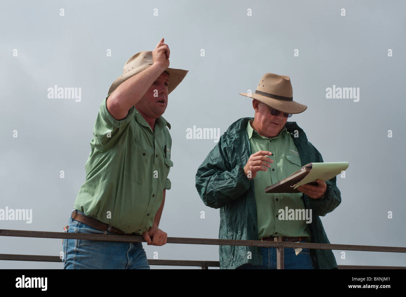 Auctioneer at work at the weekly cattle sales in the stock yards at Gunnedah in New South Wales Stock Photo
