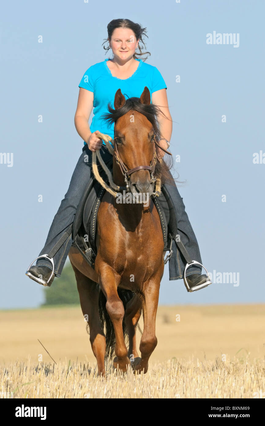 Young rider on back of a Paso Fino horse galloping in a stubble field Stock Photo