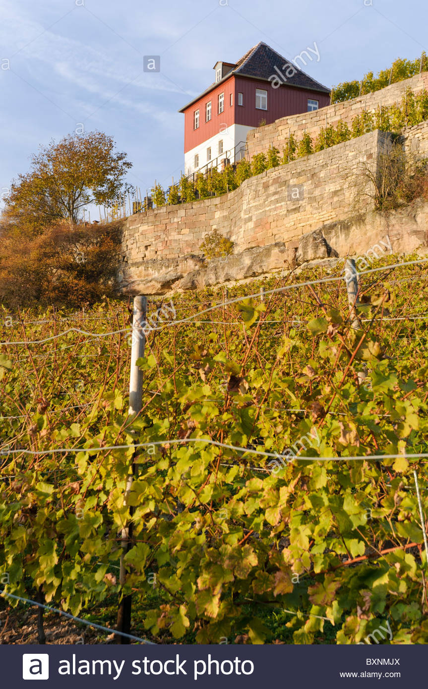 Vineyard Memorial Stock Photos Vineyard Memorial Stock Images