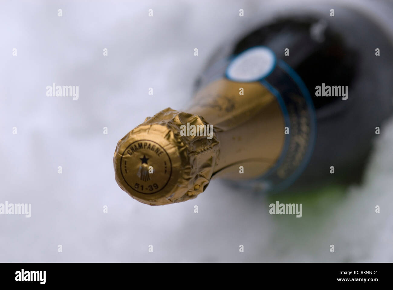 Putting champagne in snow to chill Stock Photo Alamy