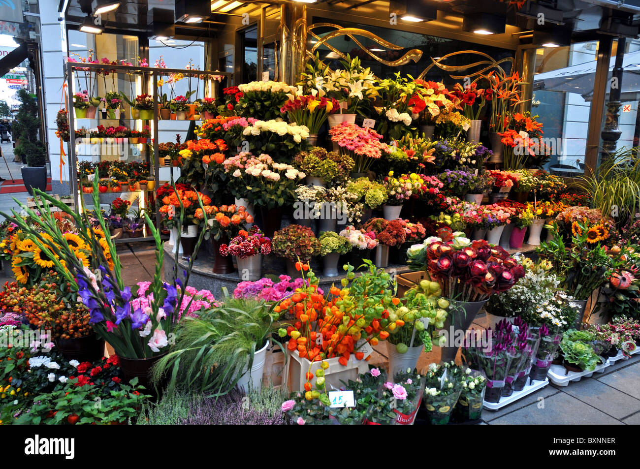 Flower shop city centre, Vienna, Austria Stock Photo