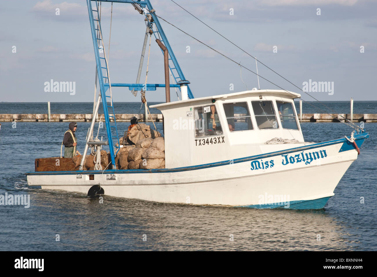 Boat carrying harvested bagged oysters, Stock Photo