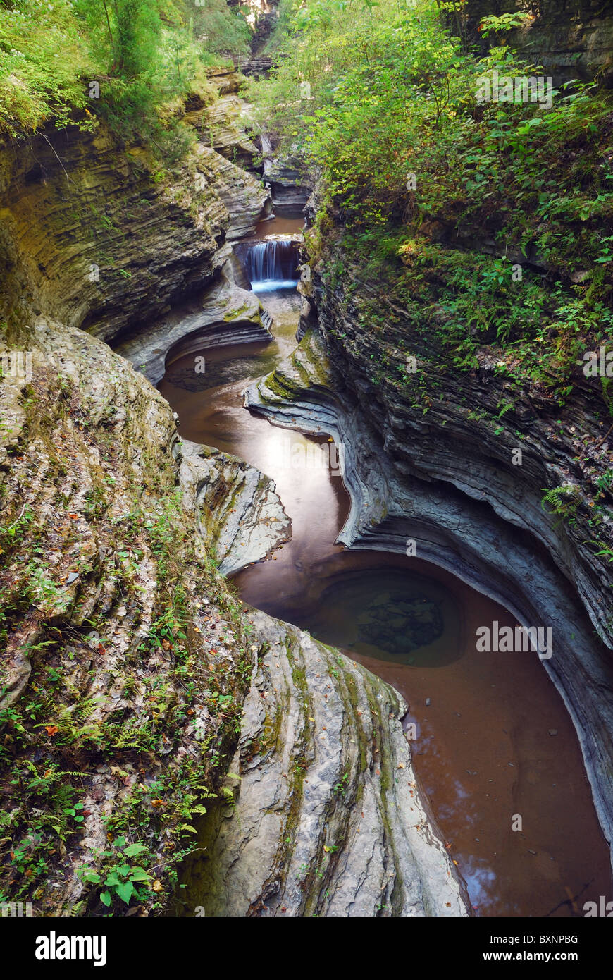 Watkins Glen Gorge in woods with rocks and stream in Watkins Glen state park in New York State Stock Photo