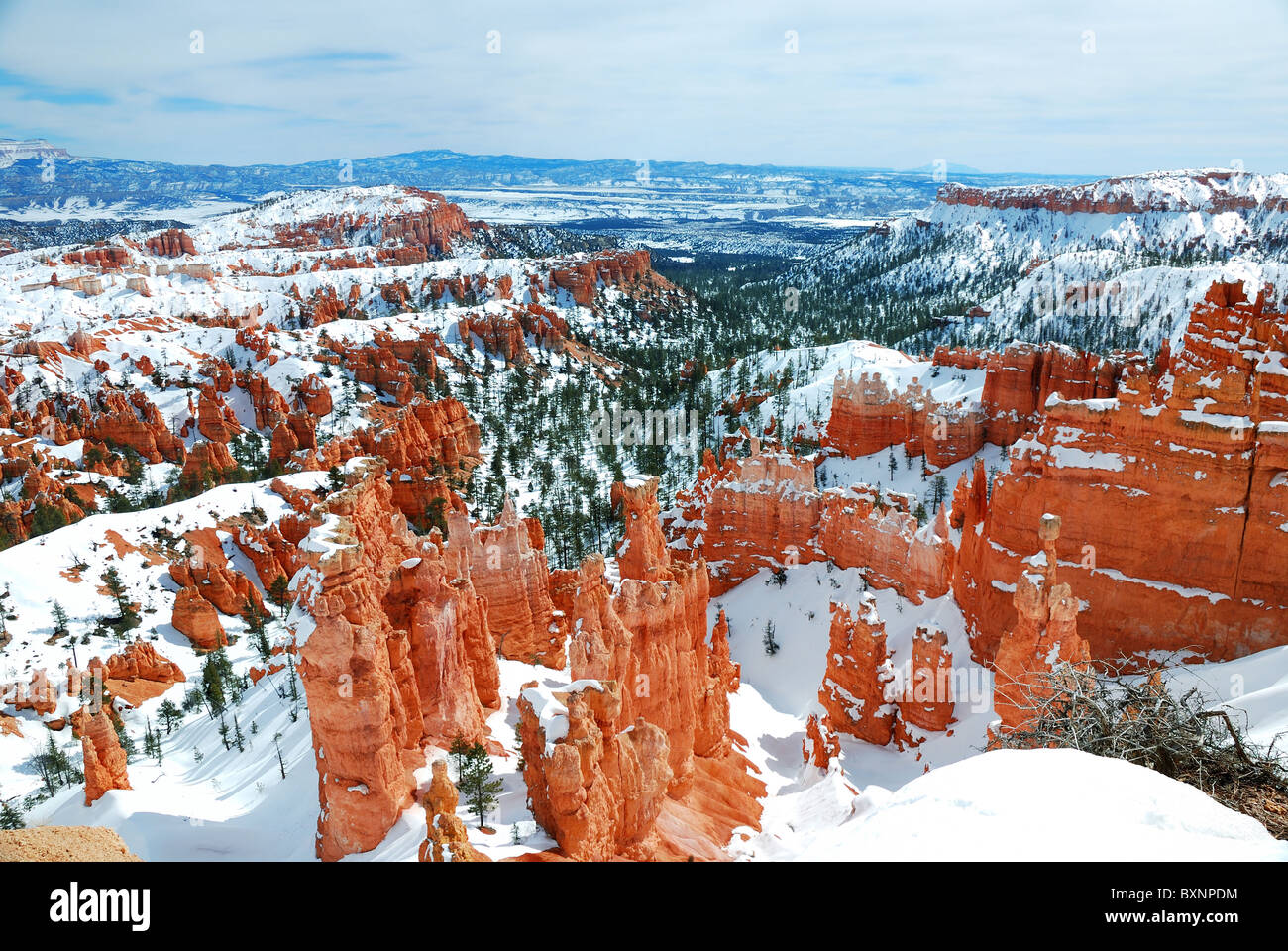 Bryce canyon panorama with snow in Winter with red rocks and blue sky