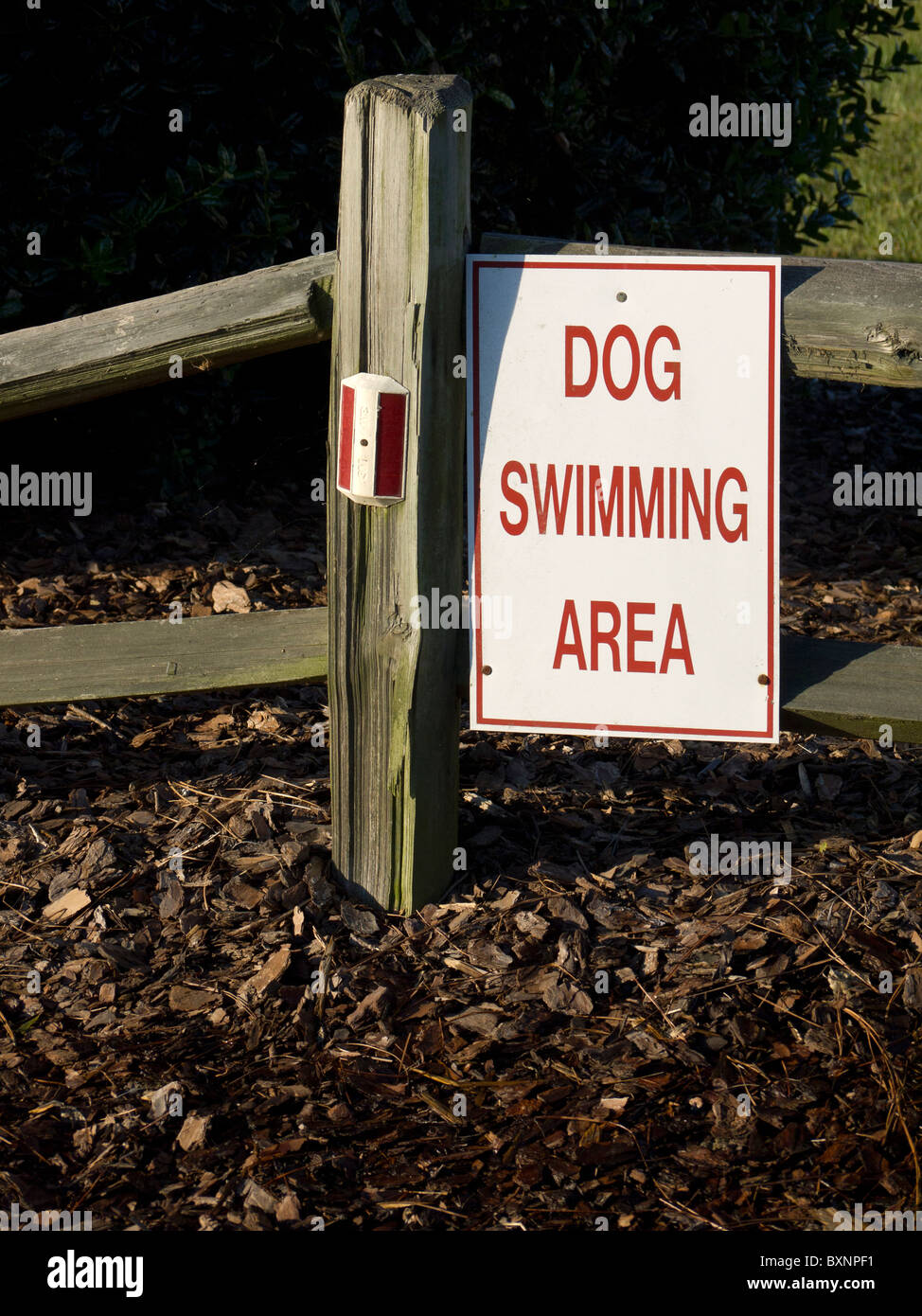 Sign announcing dog swimming area at lake. Stock Photo