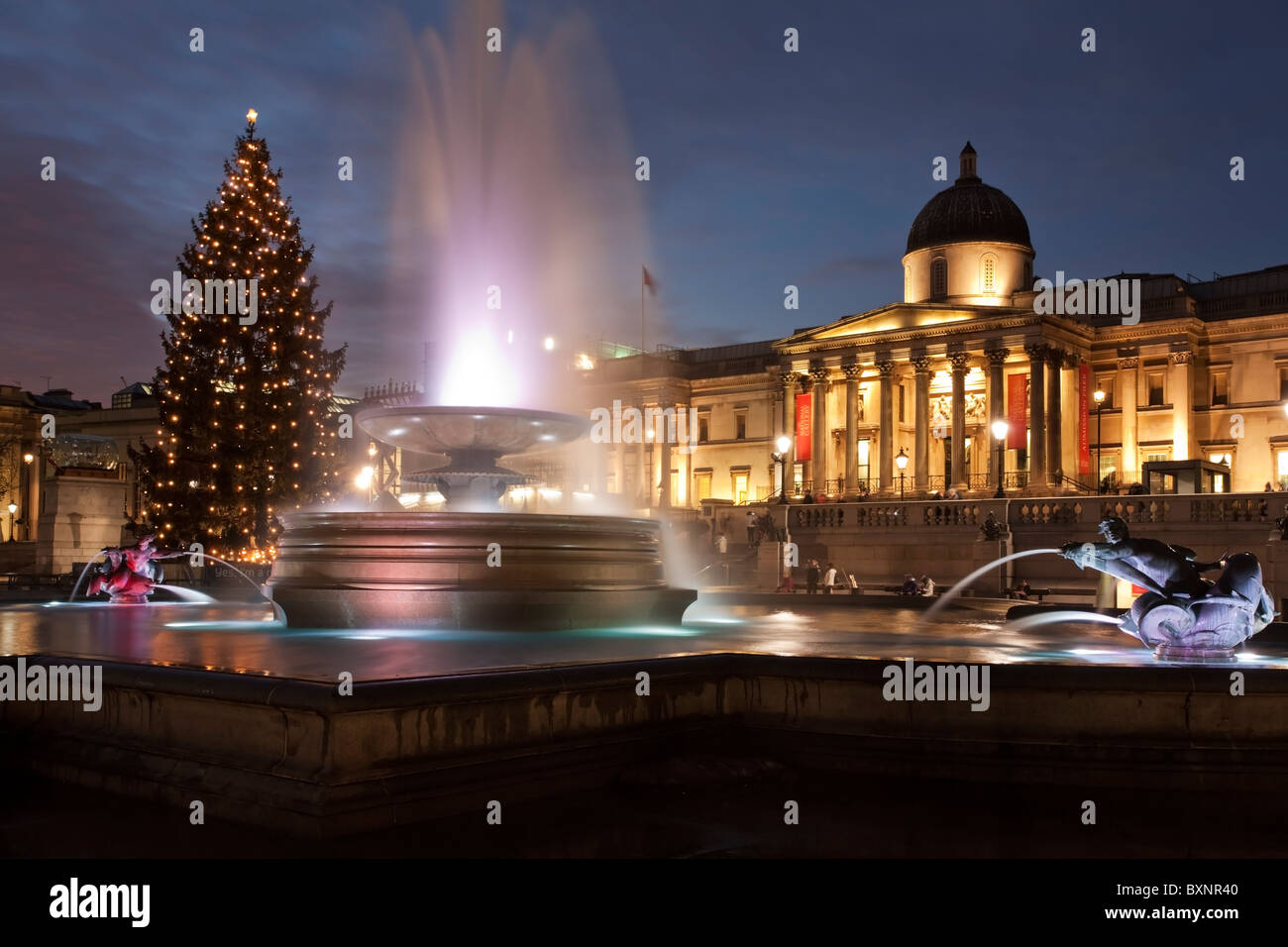 Dusk at Trafalgar Square looking towards the National Gallery through the water fountain and Christmas tree, London, Uk Stock Photo