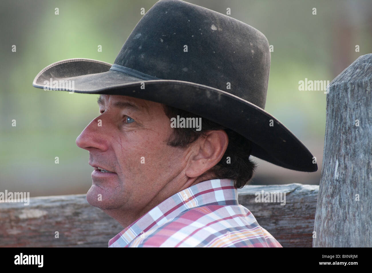 Australian cowboy watching the Ebor annual camp draft competition near  Armidale New South Wales Stock Photo - Alamy