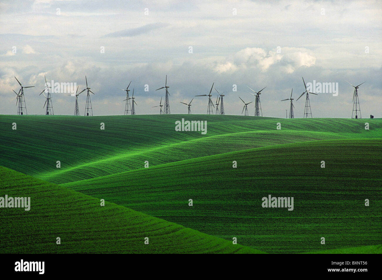 Windmills in the Sacramento Delta region of California, near Birds Landing and Suisun City. Stock Photo