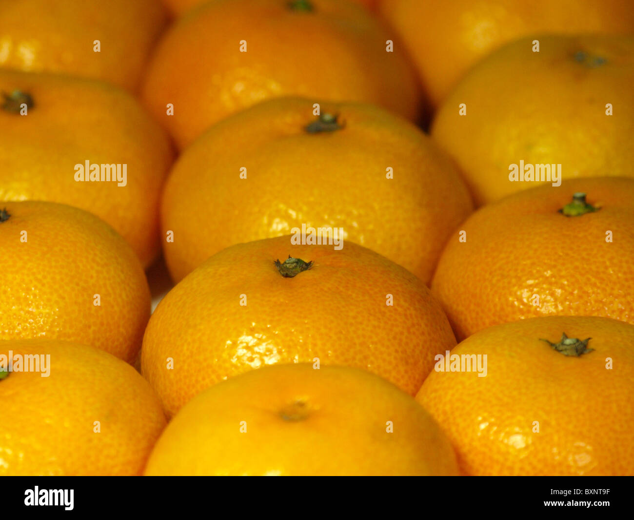 Tangerines and satsumas, Mandarin oranges Stock Photo Alamy