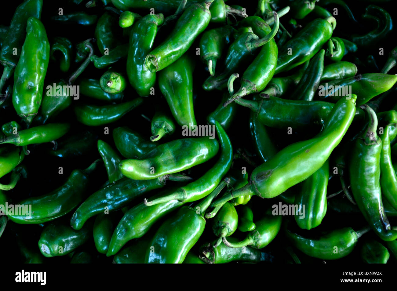 Green chilies Stock Photo Alamy