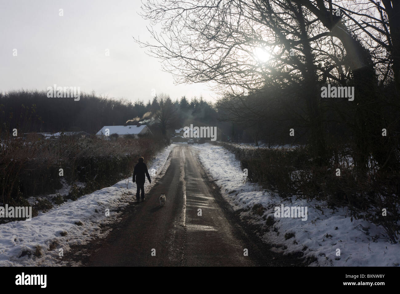 12 year-old boy walks along frozen rural road with following pet dog during wintry conditions in North Somerset. Stock Photo