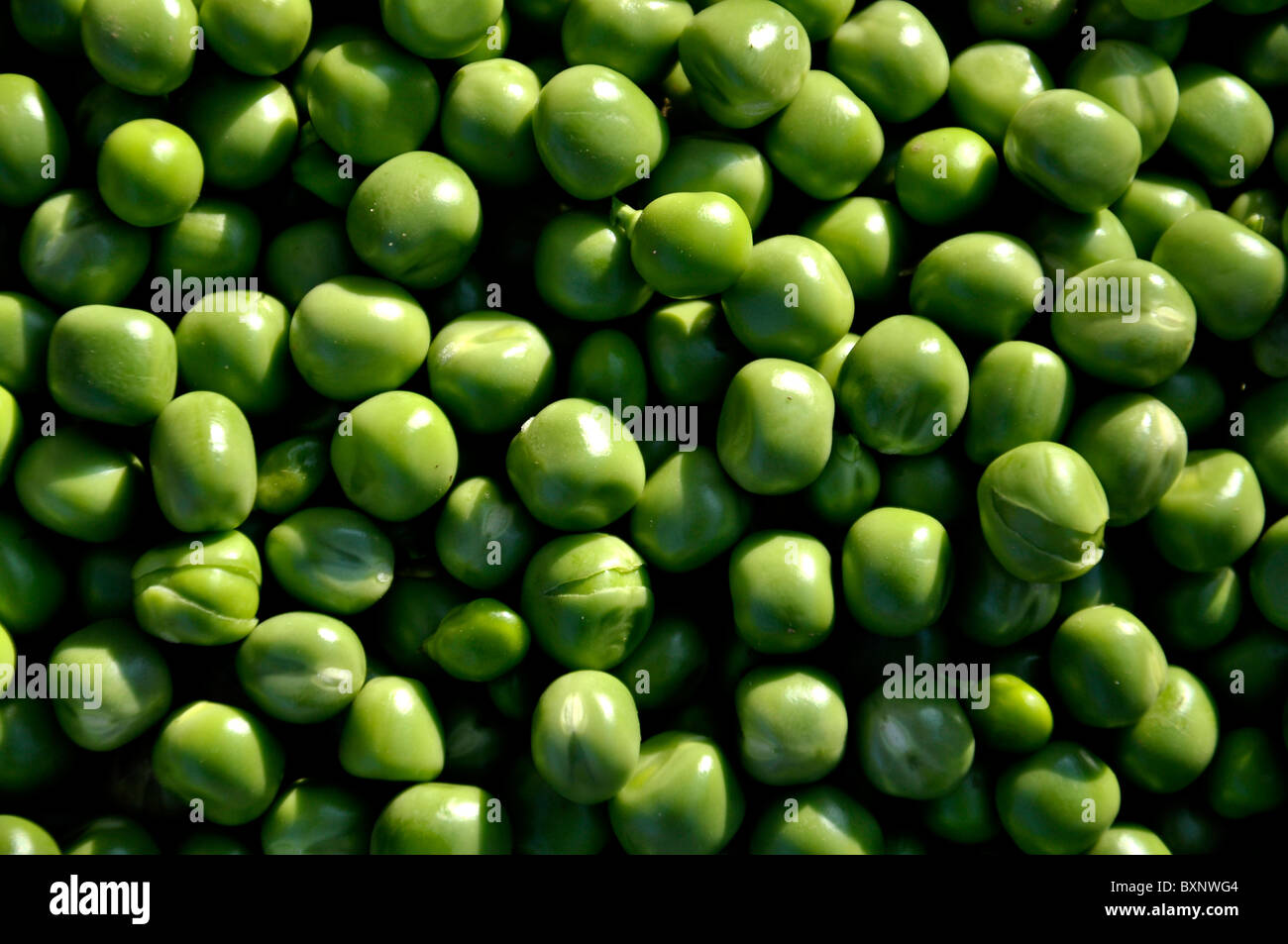 Pisum sativum seed hires stock photography and images Alamy