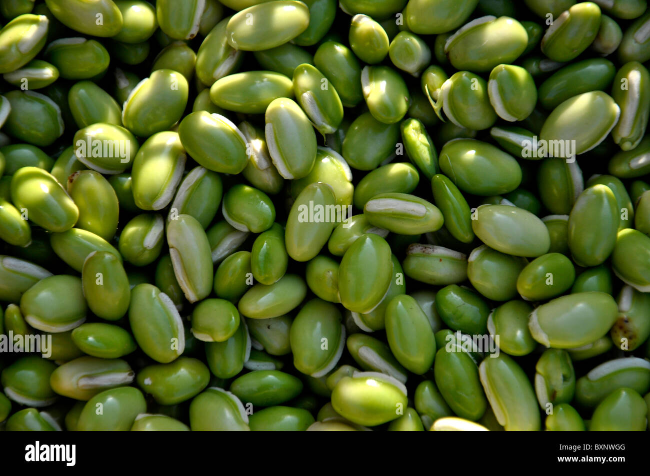 Green beans Stock Photo