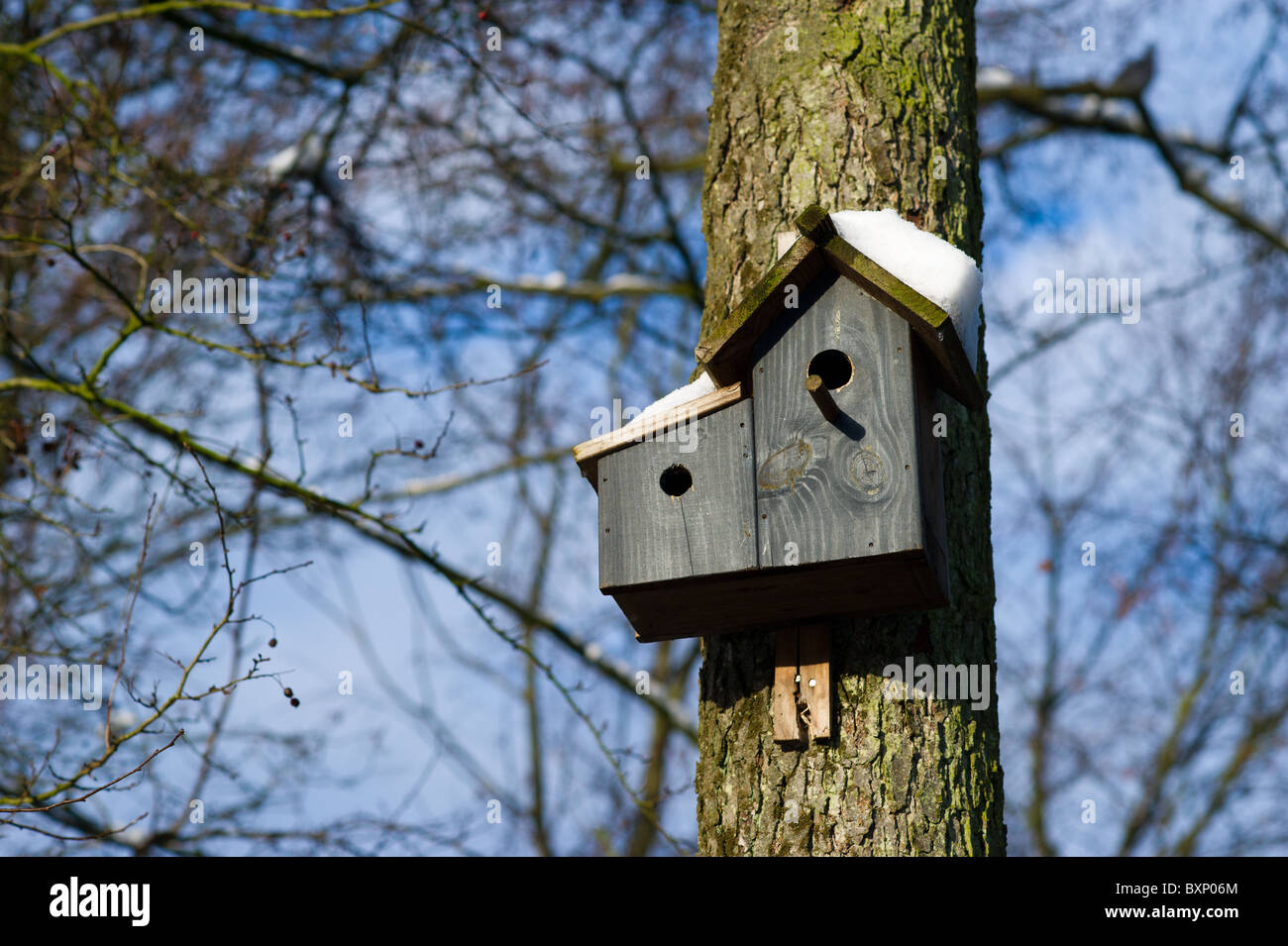 Bird house at the tree with snow in winter time Stock Photo