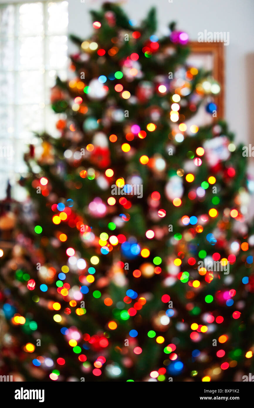 Christmas tree with lights Stock Photo Alamy