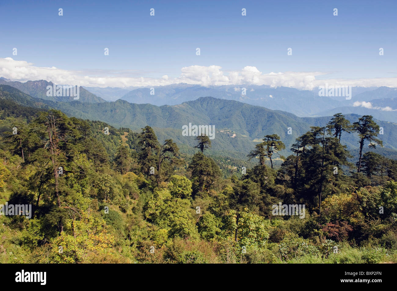 mountain scenery, Dochu La pass (3140m), Bhutan, Asia Stock Photo