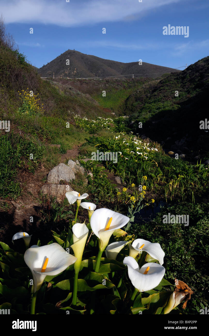 Garrapata State Park shore shoreline coast coastal coastline monterey county pacific highway 1