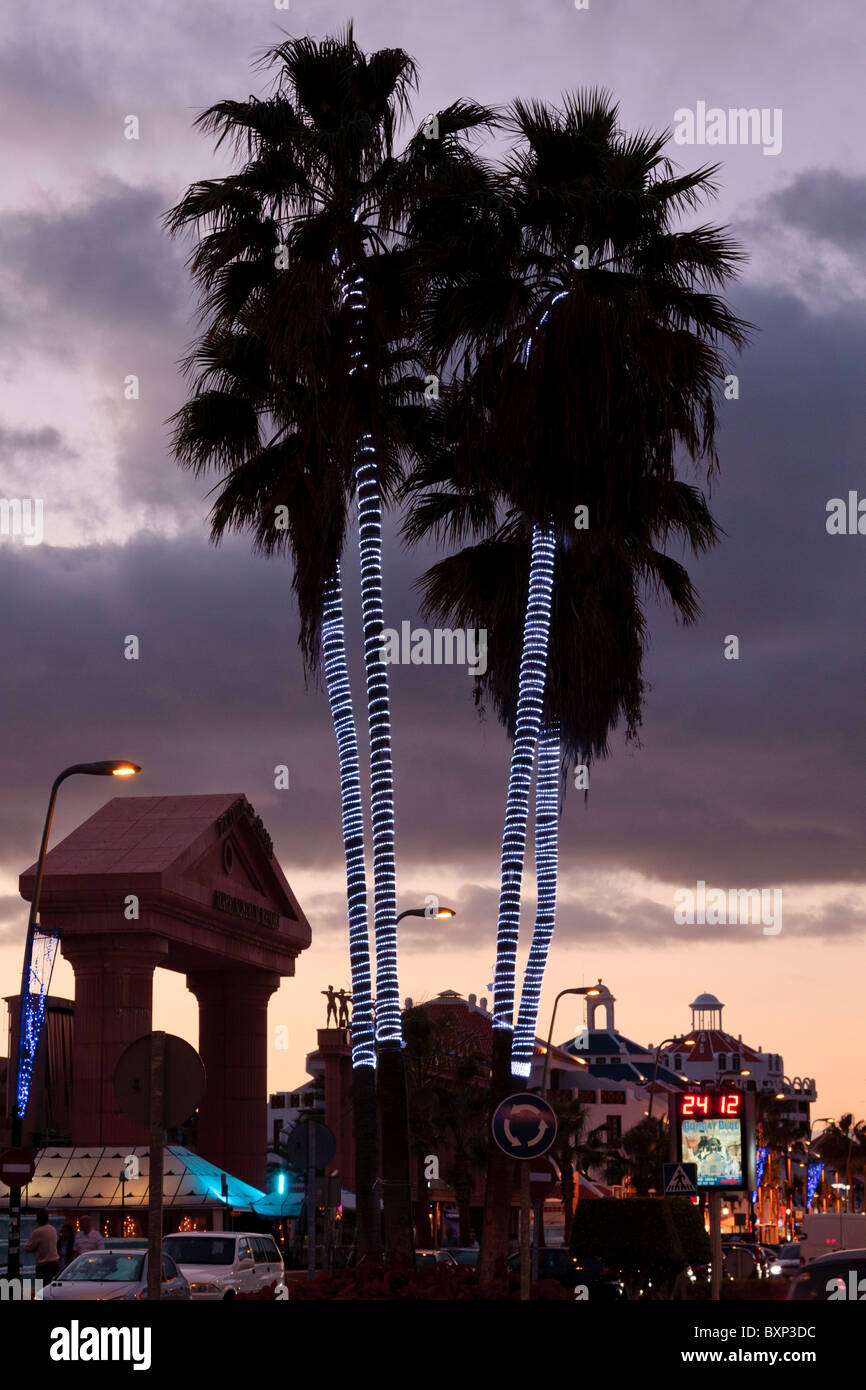 Palm trees decorated with rope lights for christmas in Las Americas, Tenerife Canary Islands Spain Stock Photo