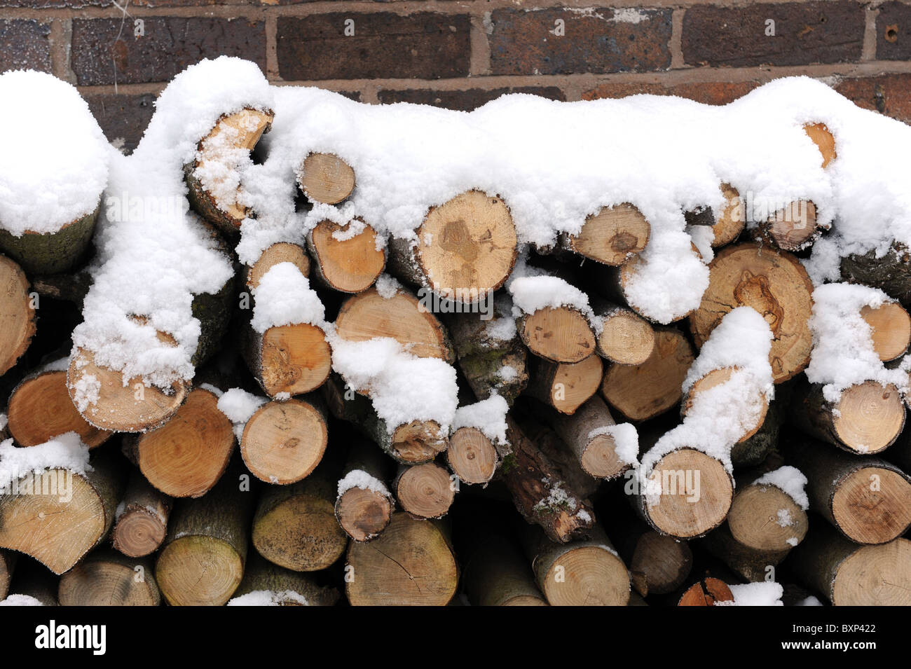 Winter logs covered in snow Stock Photo
