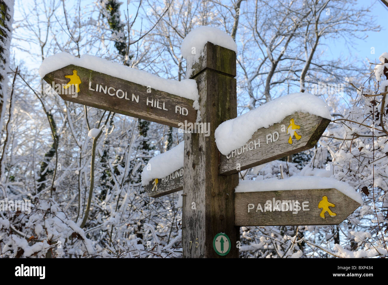 Winter woodland walks signposts Stock Photo
