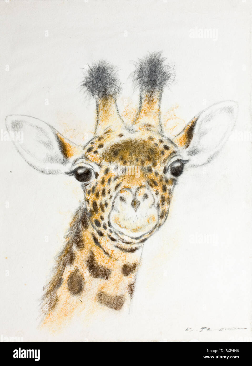 Giraffe, pastel chalk on paper by Kurt Tessmann Stock Photo - Alamy