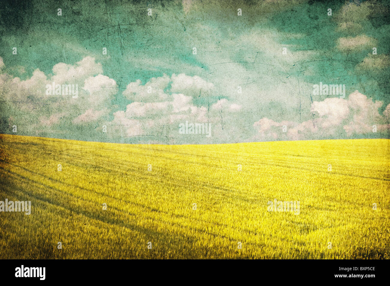 grunge background image of yellow field and blue sky Stock Photo