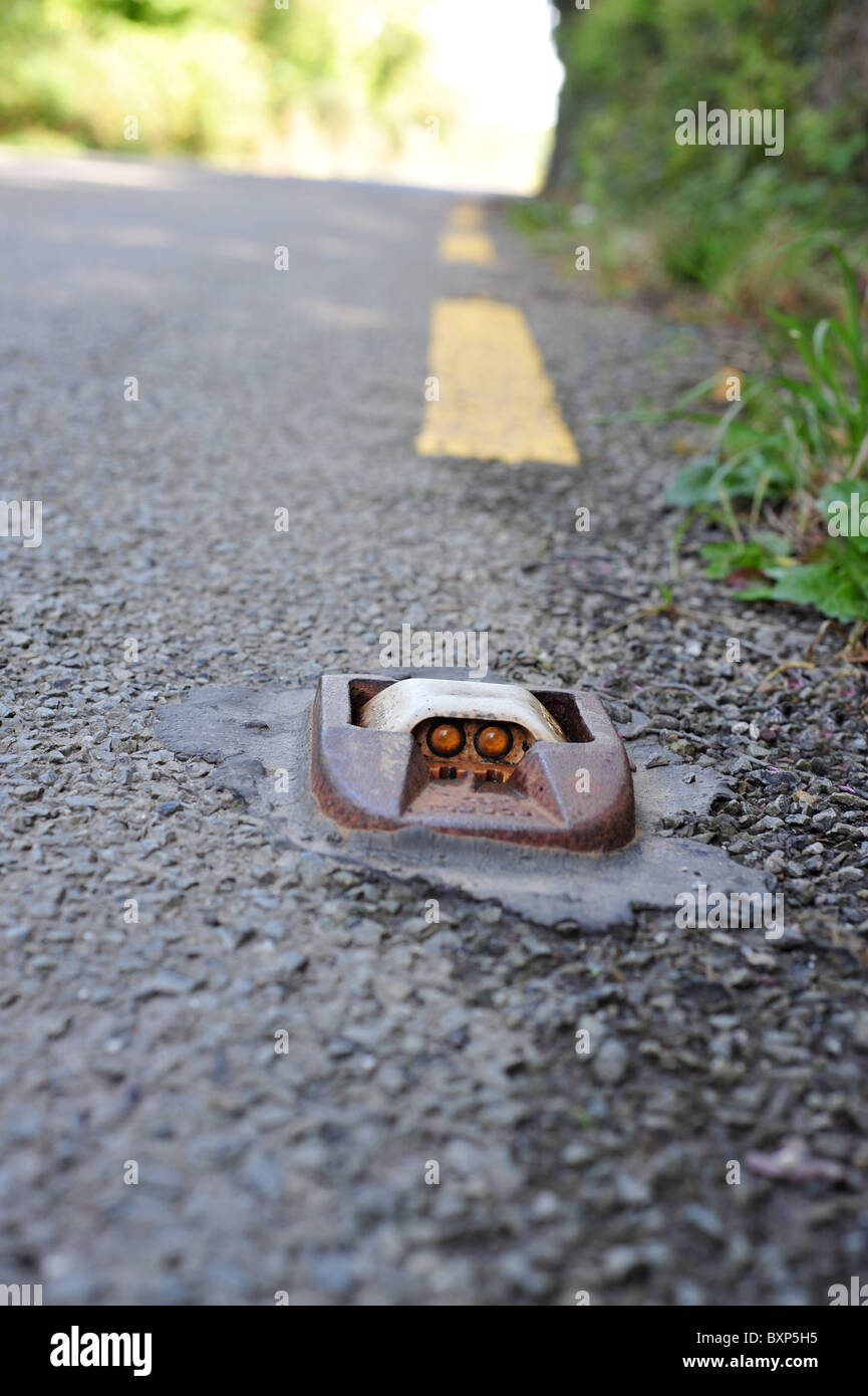 Cat's Eye on road in Ireland Stock Photo Alamy