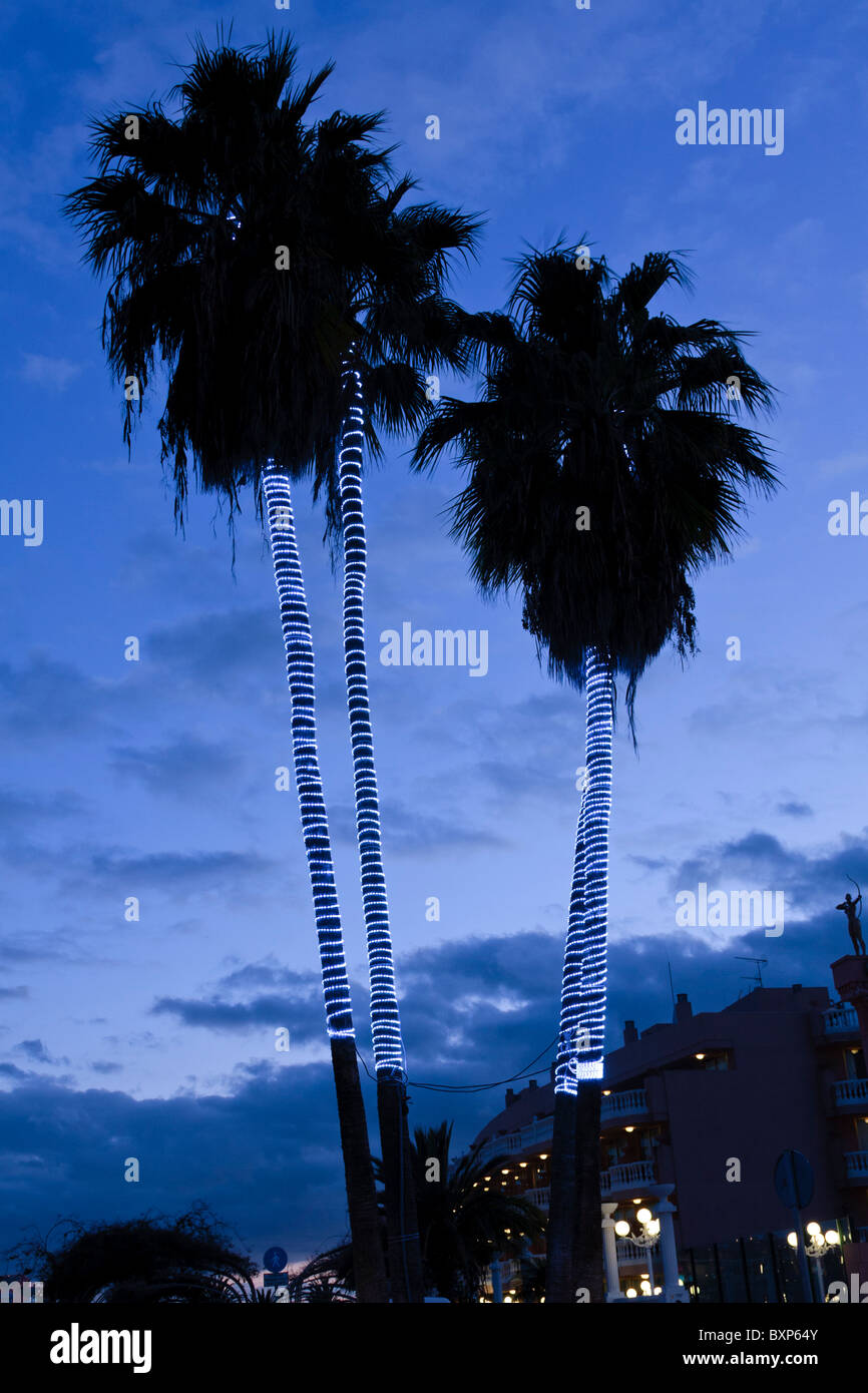 Palm trees decorated with rope lights for christmas in Las Americas, Tenerife Canary Islands Spain Stock Photo