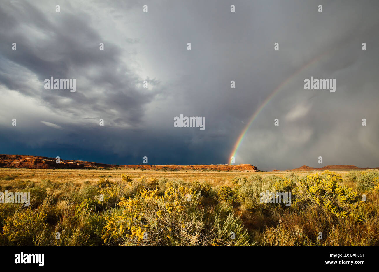 A rainbow and storm clouds over the desert of Southeast Utah, near Canyonlands National Park, USA. Stock Photo