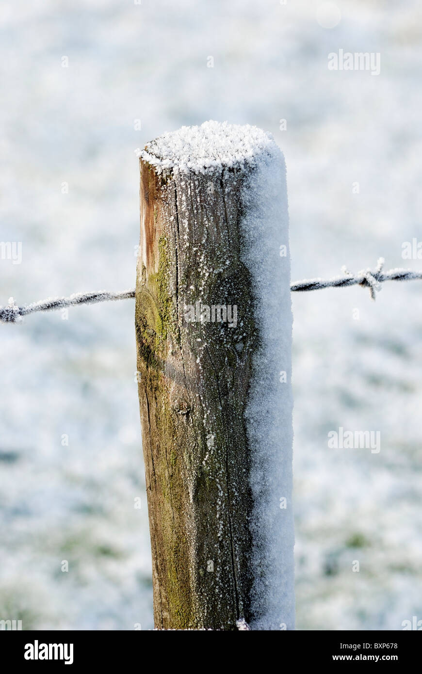 fence post partially covered in snow Stock Photo - Alamy