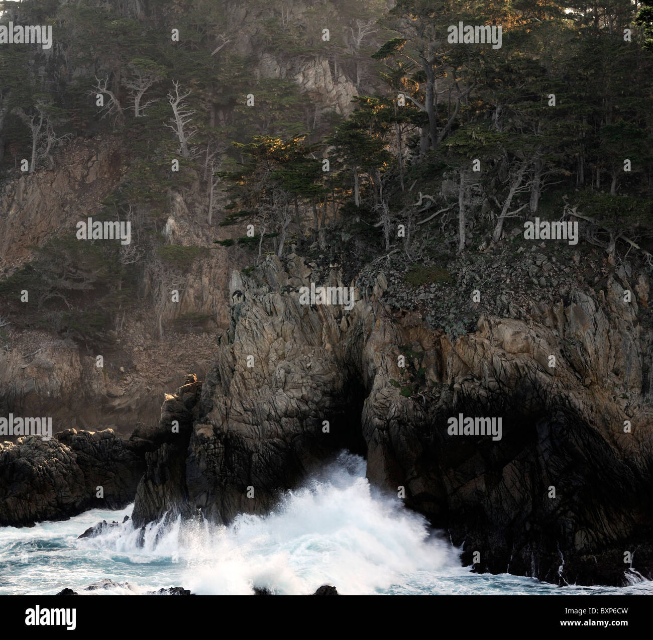 Point Lobos coast coastal coastline State Reserve monterey bay rocky scenery California USA Stock Photo