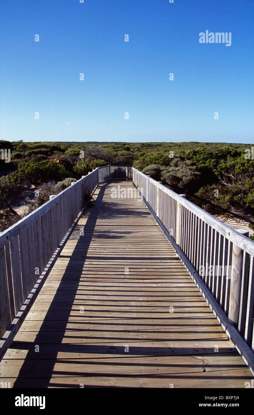 Wooden Boardwalk, South Australia Stock Photo