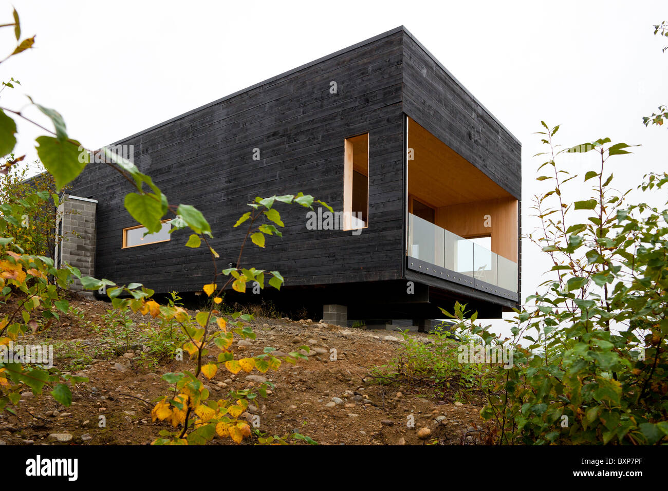 Alaska, Big Lake, Happy Trails Kennel. Martin Buser's home Stock Photo