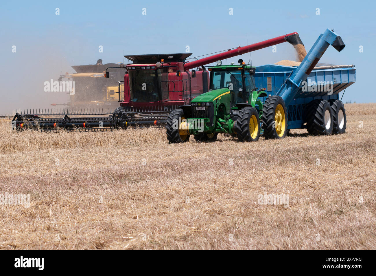 Wheat harvesting in far western New South Wales, Australia Stock Photo