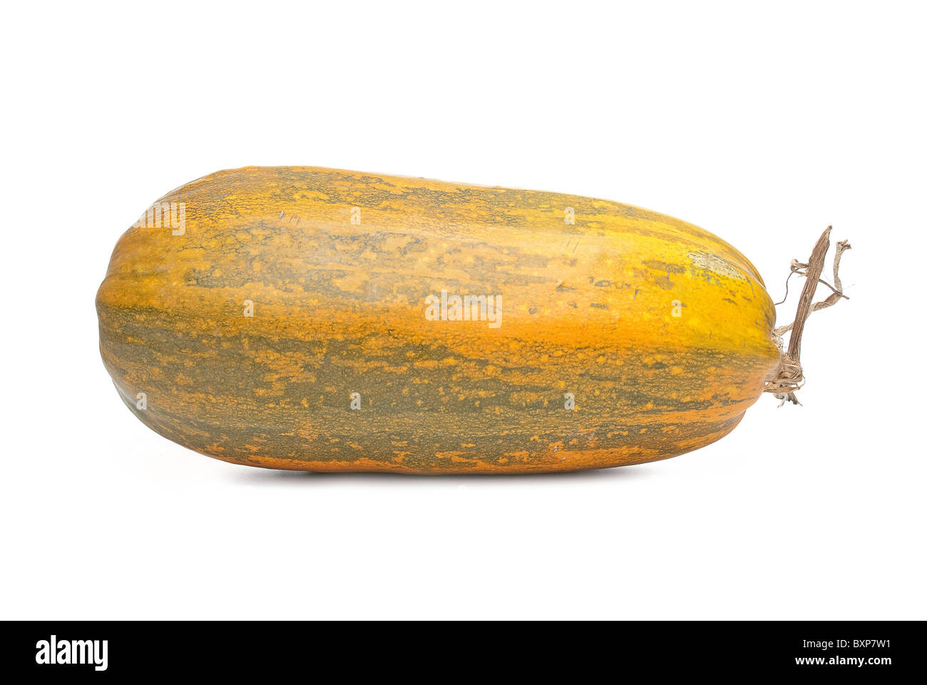 Single fresh pumpkin isolated on white background Stock Photo - Alamy