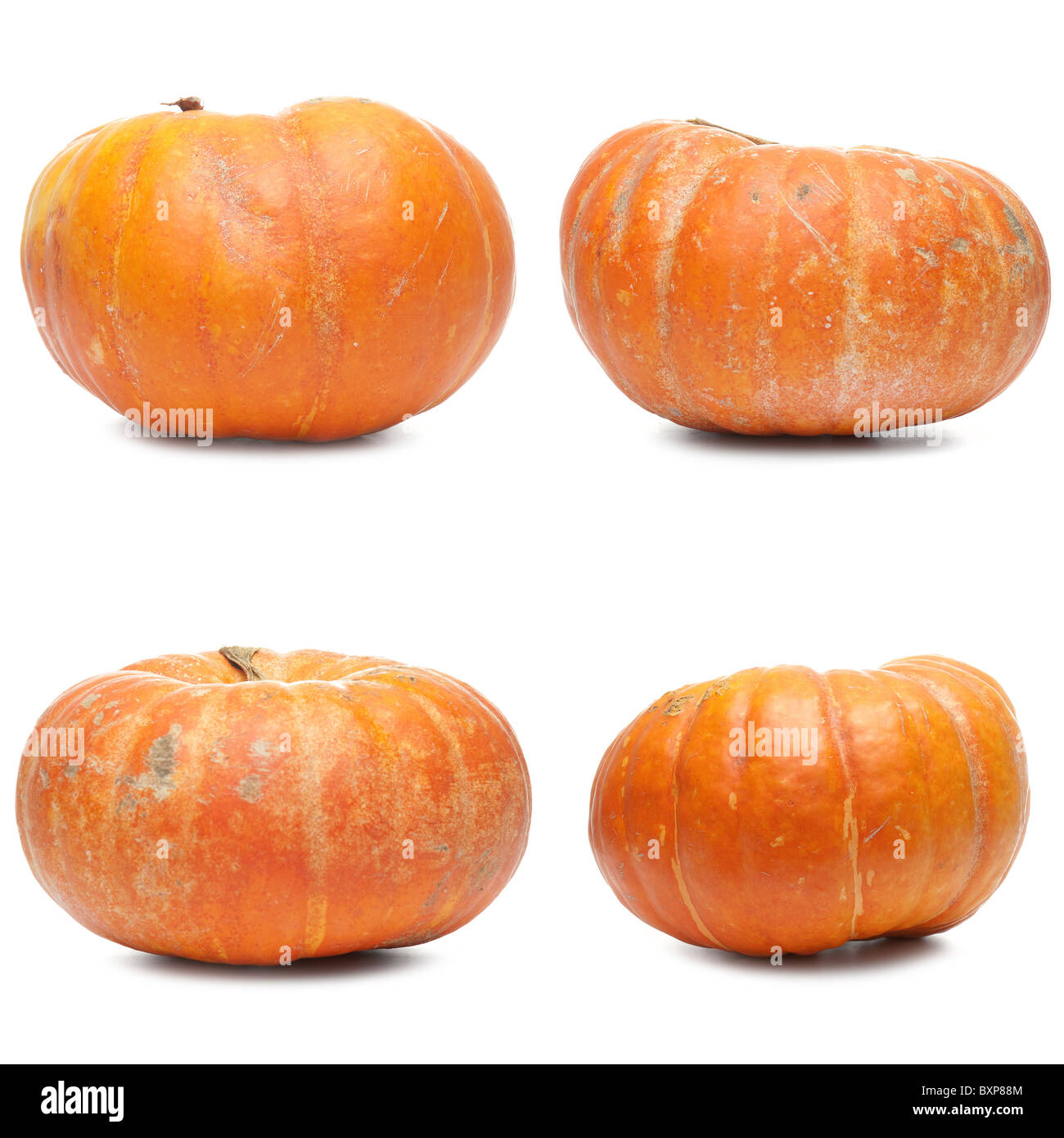 Four fresh pumpkins isolated on white background Stock Photo - Alamy
