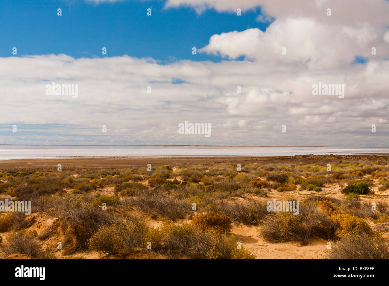 Looking over the saltflats to the water in Lake Eyre South in South Australia's Outback Stock Photo